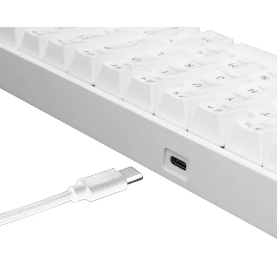 Clavier Gamer White Shark Red Switch Blanc