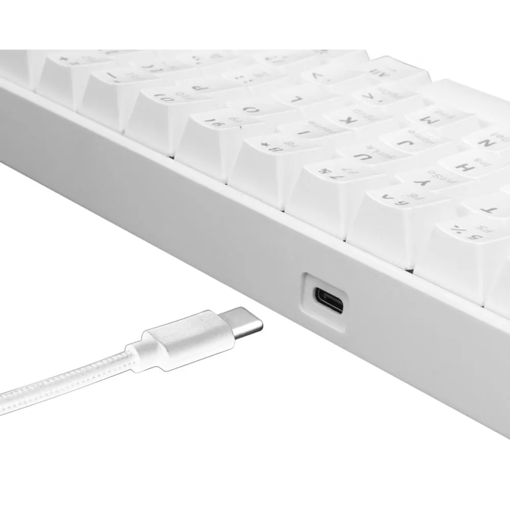 Clavier Gamer White Shark Red Switch Blanc