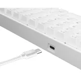 Clavier Gamer White Shark Red Switch Blanc