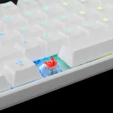 Clavier Gamer White Shark Red Switch Blanc