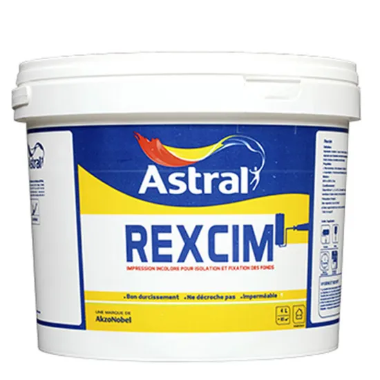 Enduit rexcim 4 kg ASTRAL
