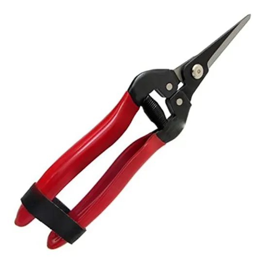 Sécateur fleur GO17 17 cm FALCI