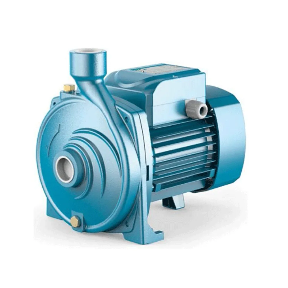 Moto pompe 1CV IC100 METRE CITY PUMPS