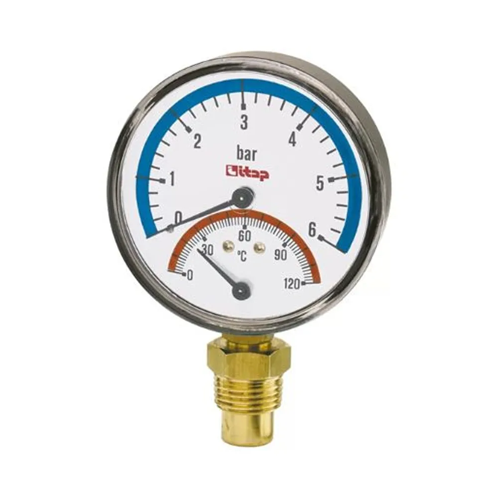 Thermo Manom 0-6 BAR 80MN 1-2 484