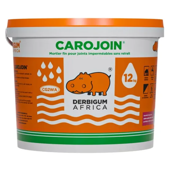 Carojoint Blanc 6 Kg DERBIGUM