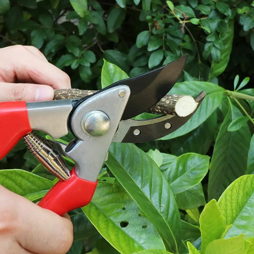 Sécateur jardin 23504-23E BELLOTA