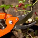 Sécateur jardin R741 23" ALTINA