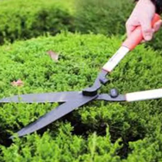 Sécateur jardin R1071 52" ALTINA