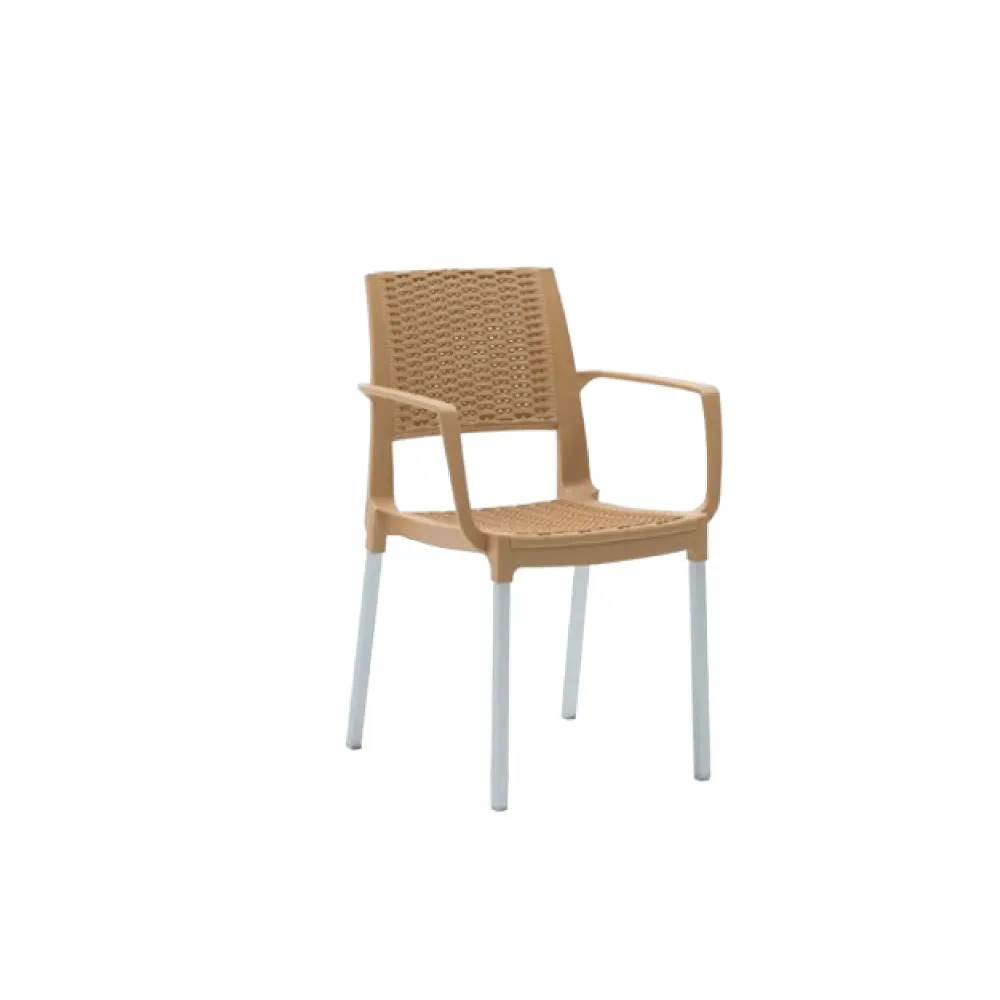 Chaise ROTIN Avec Accoudoirs