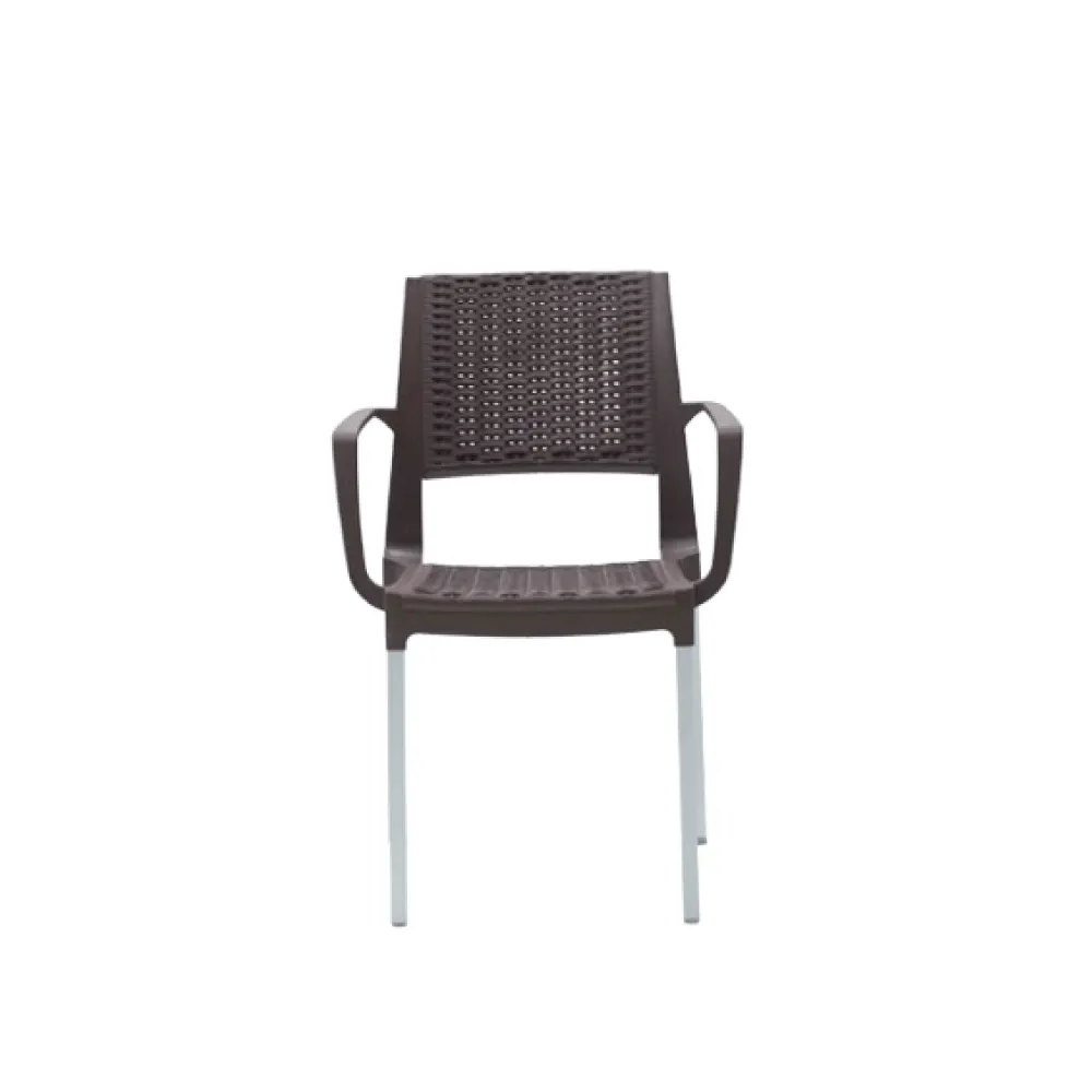 Chaise ROTIN Avec Accoudoirs