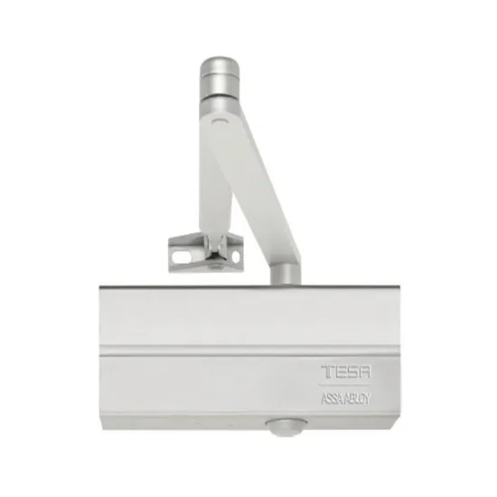 Ferme de porte noir CT2300 NE TESA
