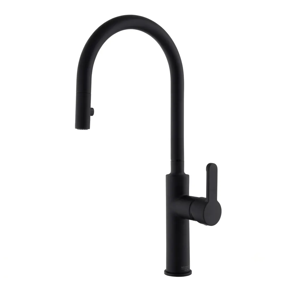 Mitigeur Evier Vertical TEOREMA 86564BB Good Life Noir