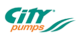 CITY PUMPS