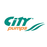CITY PUMPS